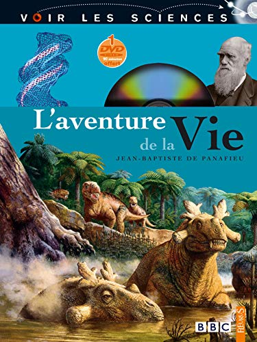 vignette